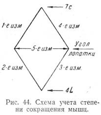 Схема учета степени сокращения мышц